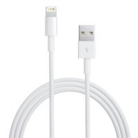Câble pour iPhone 5 Blanc 1m